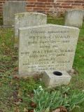 image number Ward Peter C 307